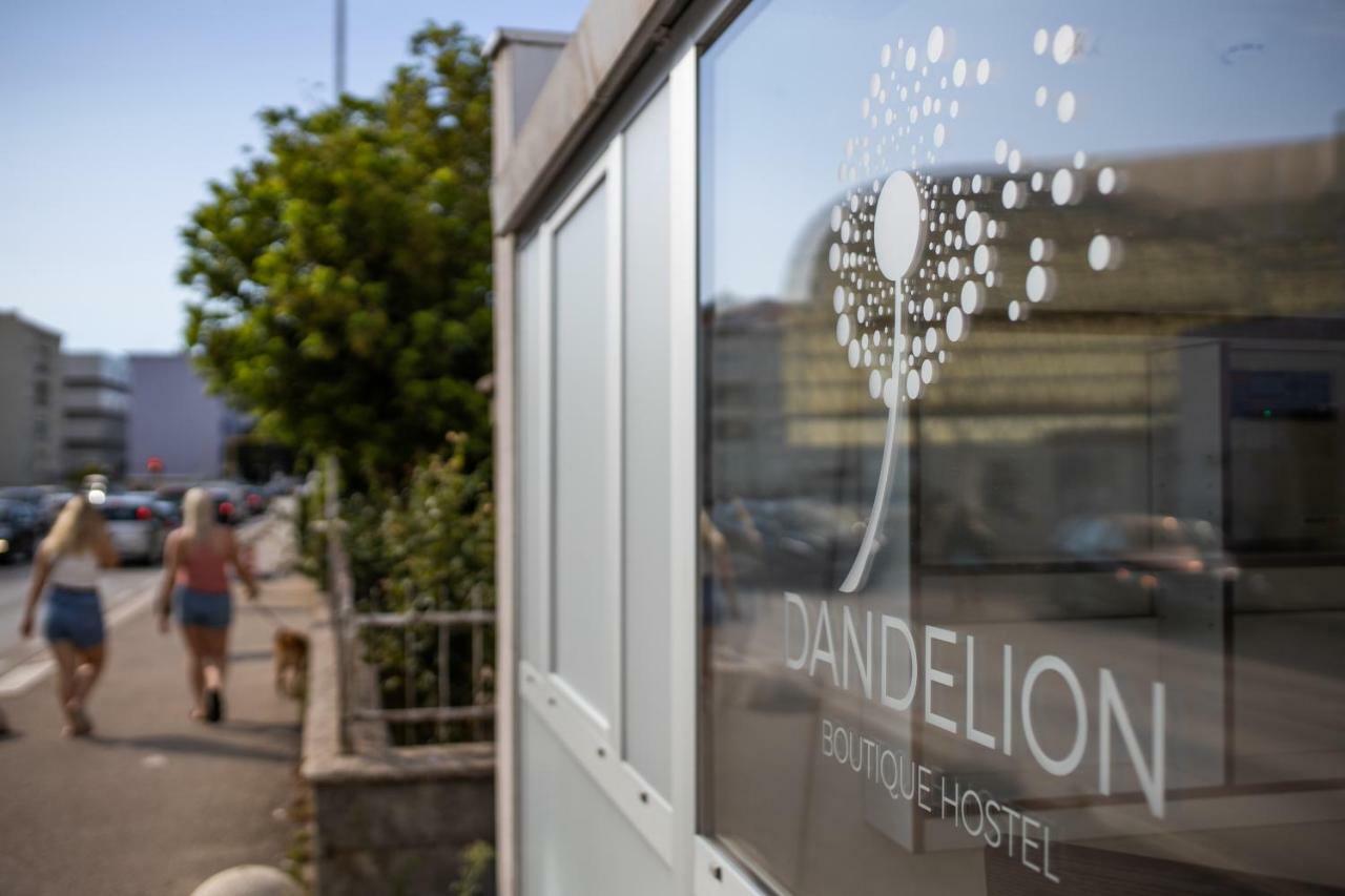 扎达尔 Dandelion旅舍 外观 照片